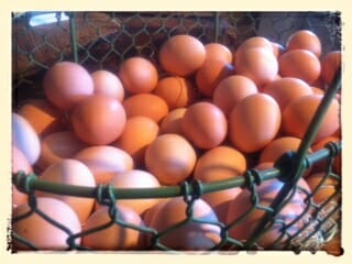 Beautiful Farm Eggs / www.momskitchenhandbook.com