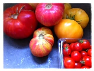 Still life in tomatoes / momskitchenhandbook.com