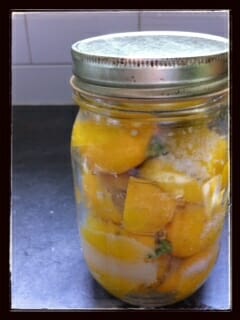 Homemade Preserved Lemons / momskitchenhandbook.com