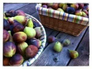 Fresh Figs / momskitchenhandbook.com