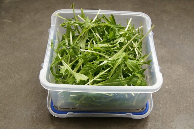 dandelion greens, washed and ready