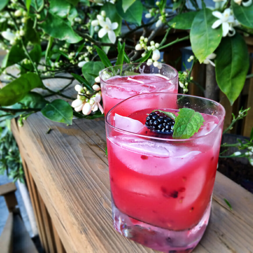 Blackberry Pineapple Smash from What's Gaby Cooking