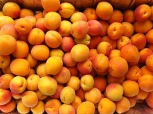 Apricots / MOMS KITCHEN HANDBOOK