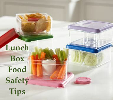 Lunch Box Food Safety Tips on Mom's Kitchen Handbook