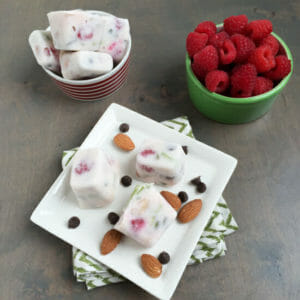 Frozen Yogurt Bites