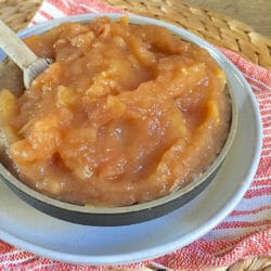Instant Pot Applesauce