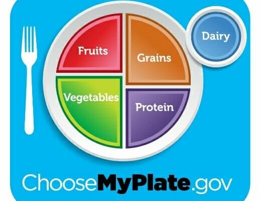 my plate with graphic on how much protein to eat
