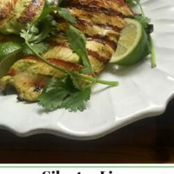 Yogurt-Marinated Grilled Chicken