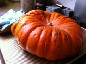 How to Roast a Whole Pumpkin/ momskitchenhandbook.com