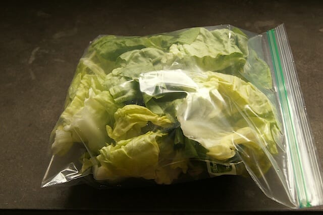 Lettuce, washed and ready / momskitchenhandbook.com