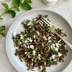 white plate with french lentil salad