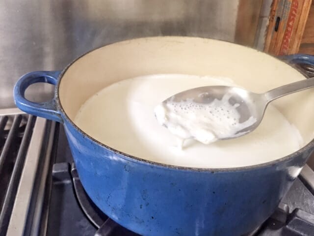 DIY Yogurt / Mom's Kitchen Handbook