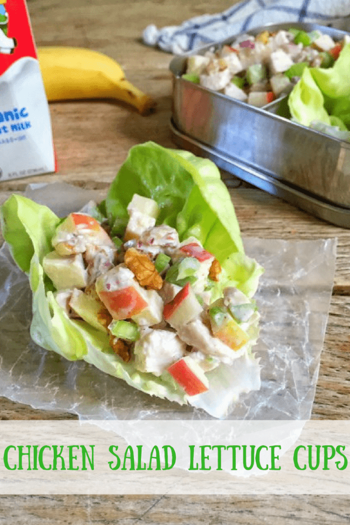 Chicken Salad in Lettuce Wraps