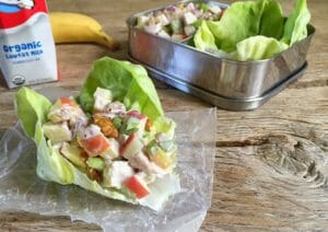 Chicken Salad in Lettuce Cup