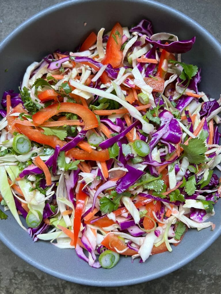 Close up of colorful slaw 