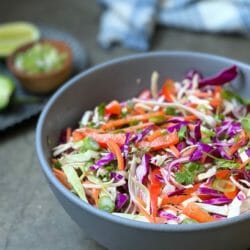 Colorful bowl of slaw with cilatro