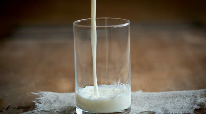 a buyer's guide to better milk