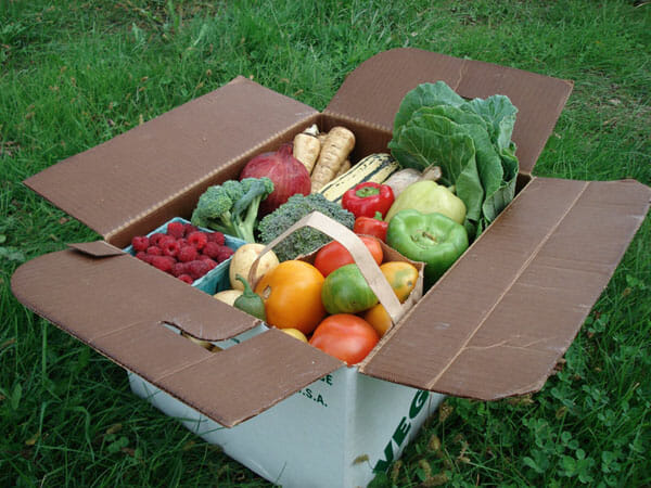 csa_box