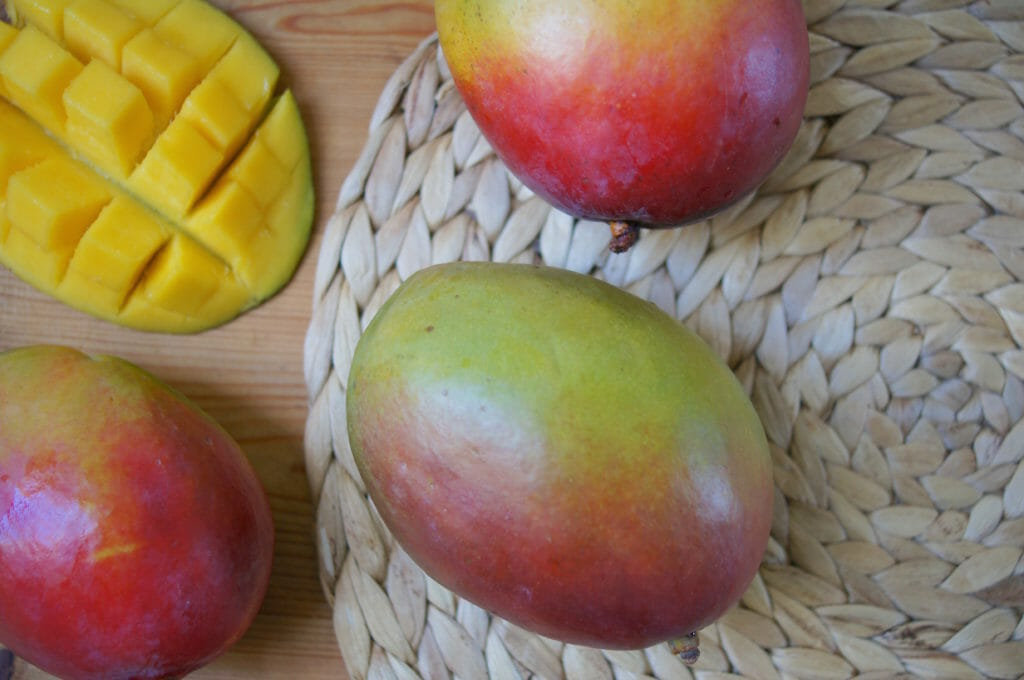 mango recipes