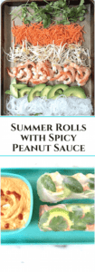 Summer Rolls with Spicy Peanut Sauce. How to Make your own. Mom's Kitchen Handbook