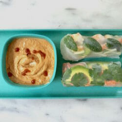 Summer Rolls with Spicy Peanut Dipping Sauce - Mom's Kitchen Handbook