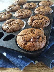 Double Chocolate Zucchini Cupcakes/Muffins
