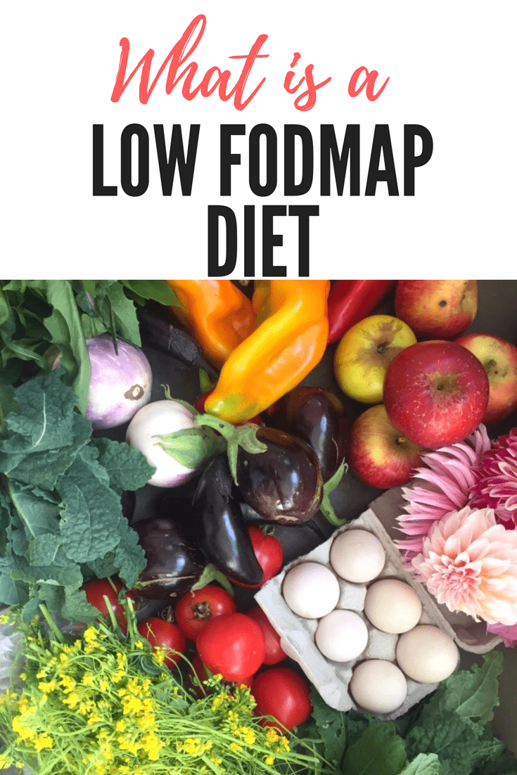 Low fodmap diet