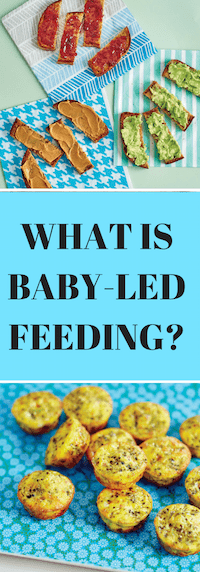 what is baby led weaning