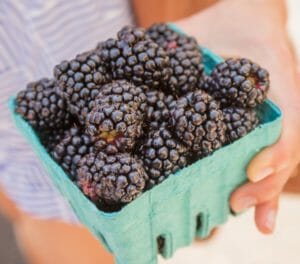 Berries: How to buy, store, and cook