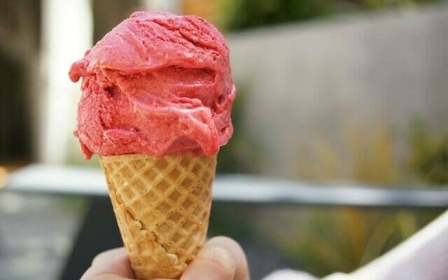 sorbet in a food processor