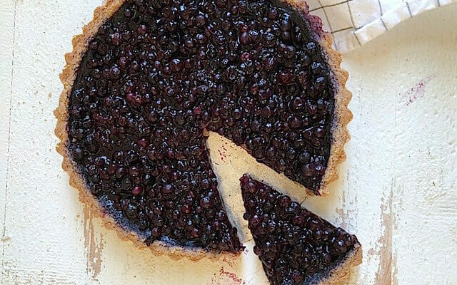 wild blueberry tart on a white background