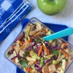 Vegetarian Chinese Chickenless Salad