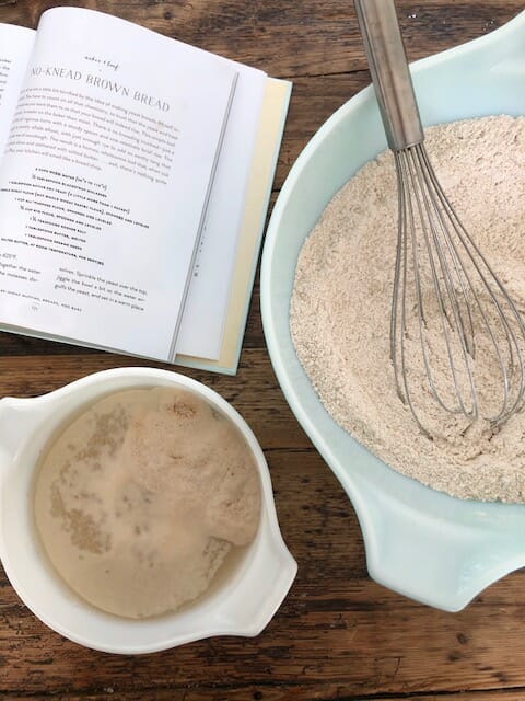 no-knead wheat bread ingredients