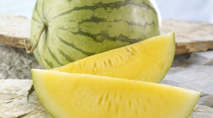 is watermelon healthy?