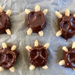 Chocolate Date Turtles with Pretzel Shell on parchment paper