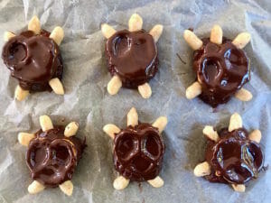 Chocolate Date Turtles with Pretzel Shell on parchment paper