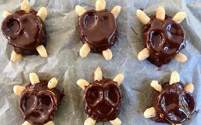 Chocolate Date Turtles with Pretzel Shell on parchment paper