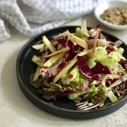 Salad of apple and lettuce on a dark plate with a side of seeds