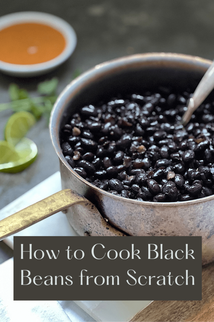 Simple pot of black beans graphic pin