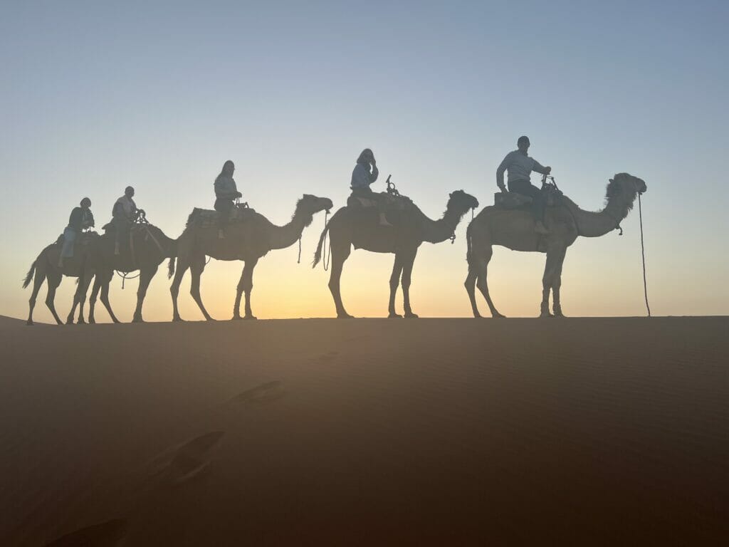 riding camels in the desert for family trip to morocco
