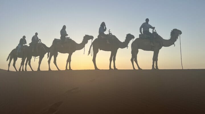 riding camels in the desert for family trip to morocco