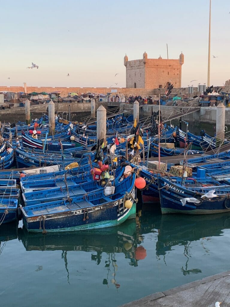 Fishing boats in essaouira and where and what to eat in morocco
