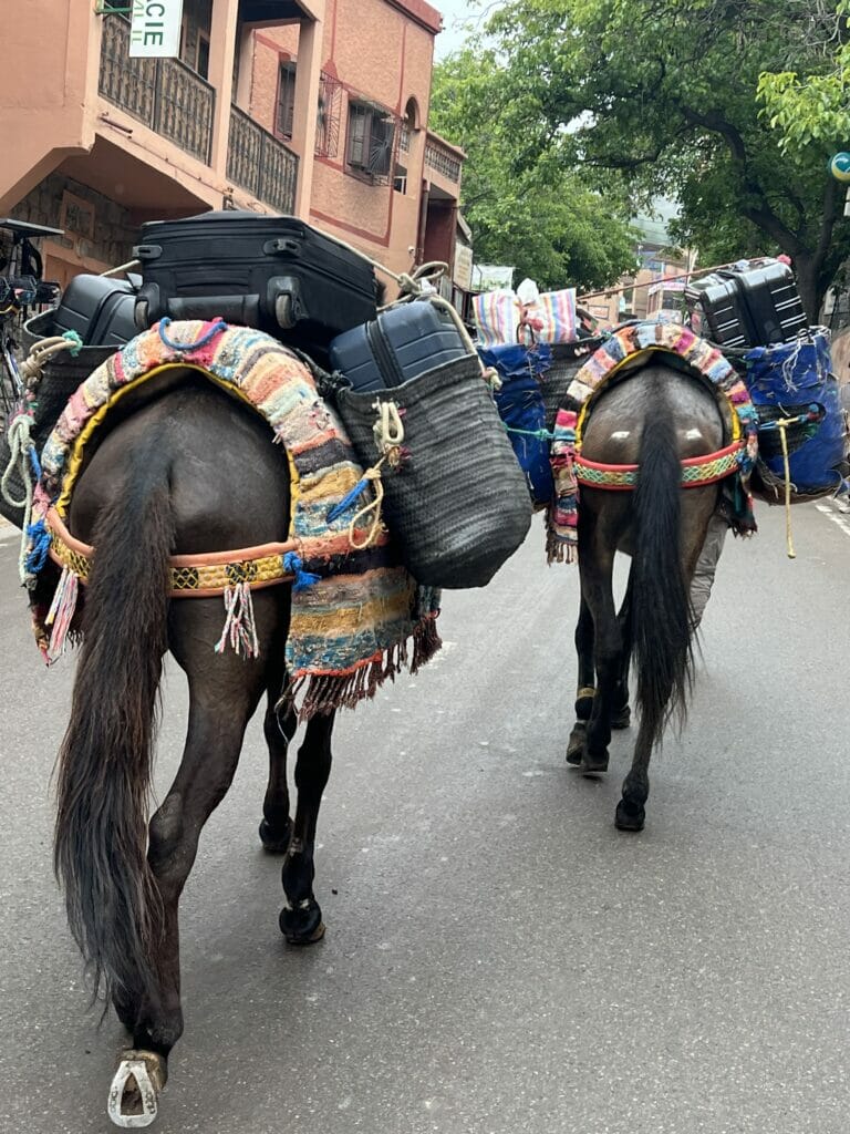 Horses carrying luggage in Imlil Morocco
