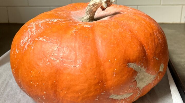 How to make homemade pumpkin puree