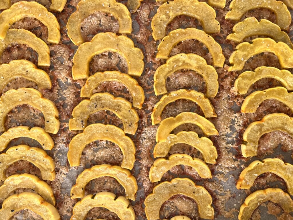 Crispy Delicata Squash Slices with Parmesan